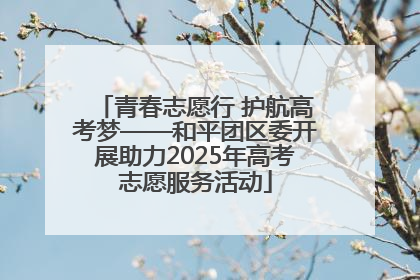 青春志愿行 护航高考梦——和平团区委开展助力2025年高考志愿服务活动