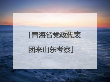 青海省党政代表团来山东考察