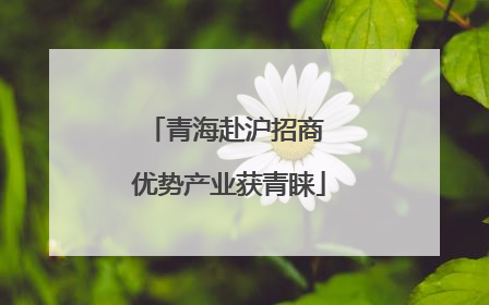 青海赴沪招商 优势产业获青睐