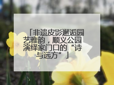 非遗皮影邂逅园艺雅韵，顺义公园演绎家门口的“诗与远方”