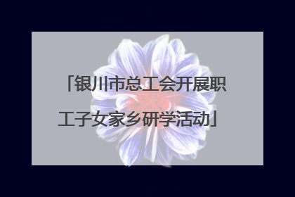 银川市总工会开展职工子女家乡研学活动