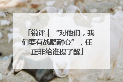 锐评｜“对他们，我们要有战略耐心”，任正非给谁提了醒