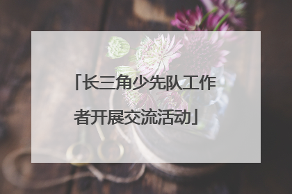长三角少先队工作者开展交流活动