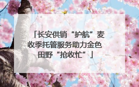 长安供销“护航”麦收季托管服务助力金色田野“抢收忙”