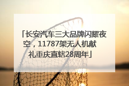 长安汽车三大品牌闪耀夜空，11787架无人机献礼重庆直辖28周年