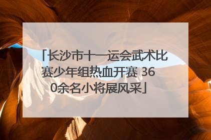 长沙市十一运会武术比赛少年组热血开赛 360余名小将展风采