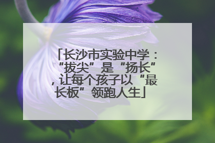 长沙市实验中学：“拔尖”是“扬长”，让每个孩子以“最长板”领跑人生