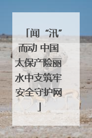 闻“汛”而动 中国太保产险丽水中支筑牢安全守护网
