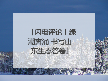 闪电评论丨绿潮奔涌 书写山东生态答卷