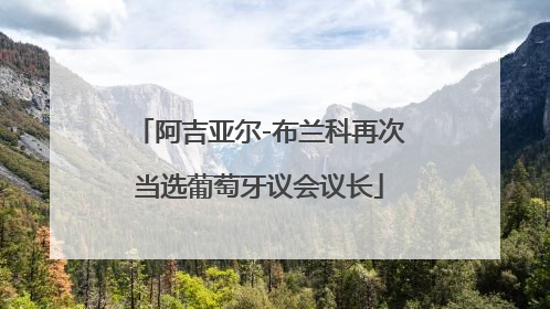 阿吉亚尔-布兰科再次当选葡萄牙议会议长