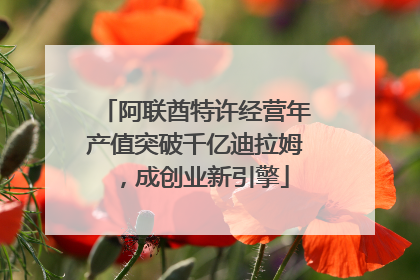 阿联酋特许经营年产值突破千亿迪拉姆，成创业新引擎