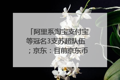 阿里系淘宝支付宝等冠名3支苏超队伍；京东：目前京东币链科技并没有开始发行稳定币｜早资道