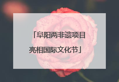 阜阳两非遗项目亮相国际文化节