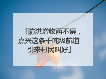 防洪增收两不误，嘉兴这条千吨级航道引来村民叫好