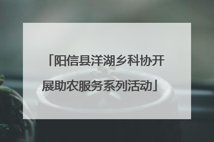 阳信县洋湖乡科协开展助农服务系列活动