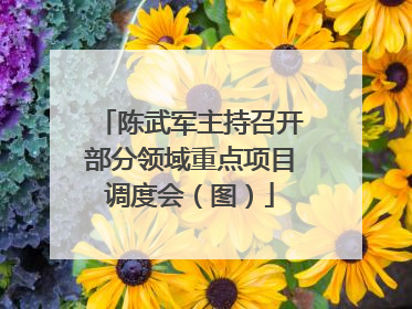 陈武军主持召开部分领域重点项目调度会（图）