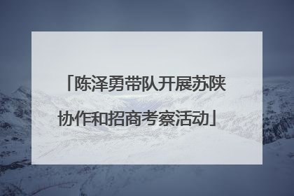 陈泽勇带队开展苏陕协作和招商考察活动