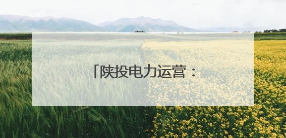陕投电力运营：用脚步丈量民情 以实干温暖人心