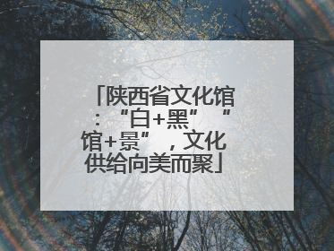 陕西省文化馆：“白+黑”“馆+景”，文化供给向美而聚