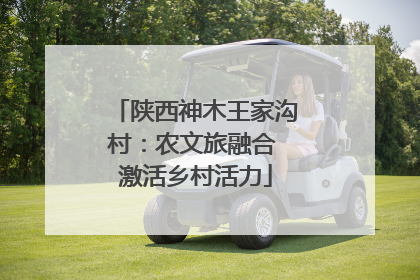 陕西神木王家沟村：农文旅融合 激活乡村活力