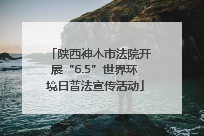 陕西神木市法院开展“6.5”世界环境日普法宣传活动