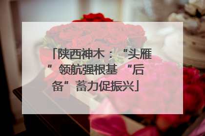 陕西神木：“头雁”领航强根基 “后备”蓄力促振兴