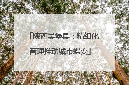 陕西吴堡县：精细化管理推动城市蝶变