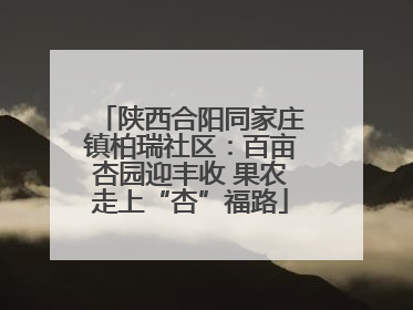 陕西合阳同家庄镇柏瑞社区：百亩杏园迎丰收 果农走上“杏”福路