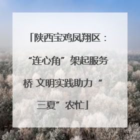 陕西宝鸡凤翔区：“连心角”架起服务桥 文明实践助力“三夏”农忙