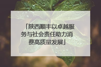 陕西顺丰以卓越服务与社会责任助力消费高质量发展