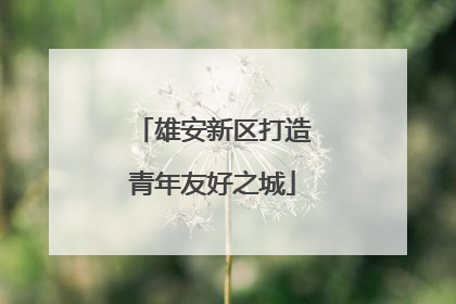 雄安新区打造青年友好之城