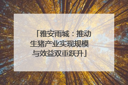 雅安雨城：推动生猪产业实现规模与效益双重跃升