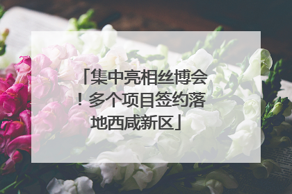 集中亮相丝博会！多个项目签约落地西咸新区