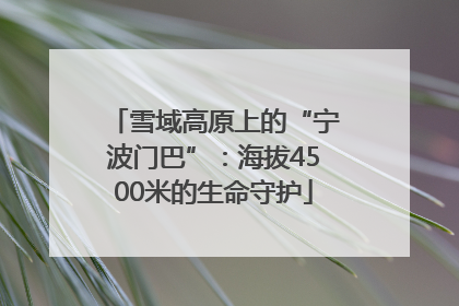 雪域高原上的“宁波门巴”：海拔4500米的生命守护