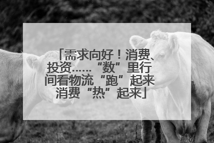 需求向好！消费、投资……“数”里行间看物流“跑”起来 消费“热”起来