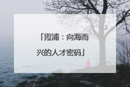 霞浦：向海而兴的人才密码