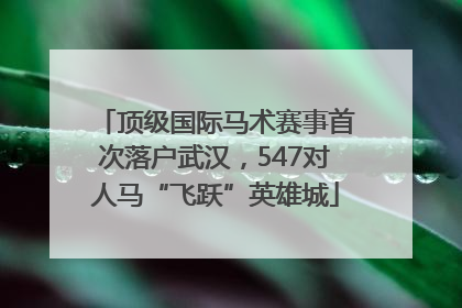 顶级国际马术赛事首次落户武汉，547对人马“飞跃”英雄城