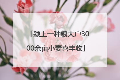 颍上一种粮大户3000余亩小麦喜丰收