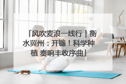 风吹麦浪一线行｜衡水冀州：开镰！科学种植 奏响丰收序曲