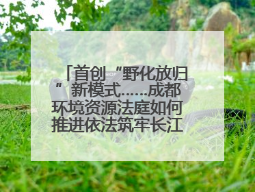 首创“野化放归”新模式……成都环境资源法庭如何推进依法筑牢长江上游生态屏障