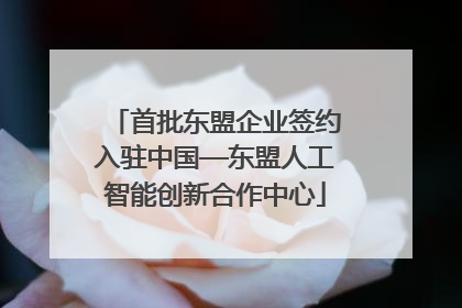 首批东盟企业签约入驻中国—东盟人工智能创新合作中心