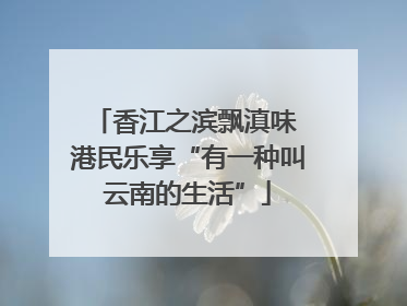 香江之滨飘滇味 港民乐享“有一种叫云南的生活”