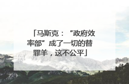 马斯克：“政府效率部”成了一切的替罪羊，这不公平