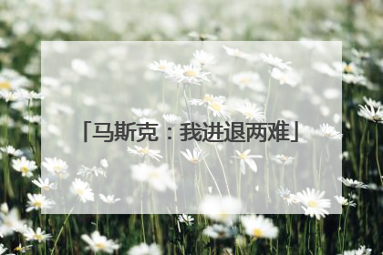 马斯克：我进退两难