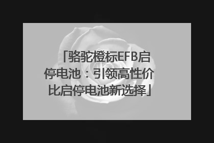 骆驼橙标EFB启停电池：引领高性价比启停电池新选择