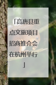 高唐县重点文旅项目招商推介会在杭州举行