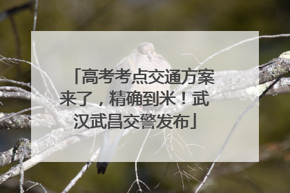 高考考点交通方案来了，精确到米！武汉武昌交警发布