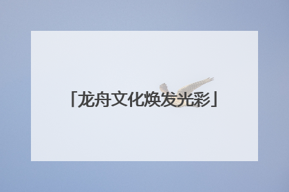 龙舟文化焕发光彩