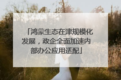 鸿蒙生态在津规模化发展，政企全面加速内部办公应用适配
