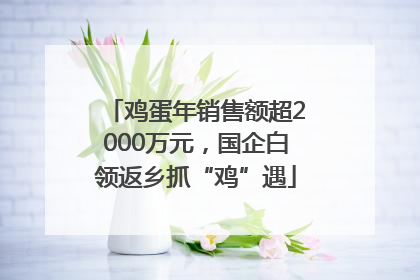 鸡蛋年销售额超2000万元，国企白领返乡抓“鸡”遇
